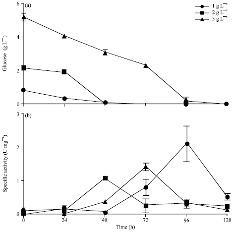 Image for - Screening and Isolation of Novel Glutaminase Free L-asparaginase from Fungal  Endophytes
