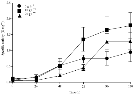 Image for - Screening and Isolation of Novel Glutaminase Free L-asparaginase from Fungal  Endophytes