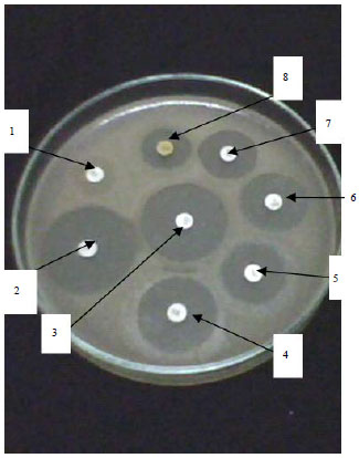 Image for - Application of Specific Media, API Technique and PCR for Rapid Confirmation of Listeria monocytogenes in Foodstuffs and Water