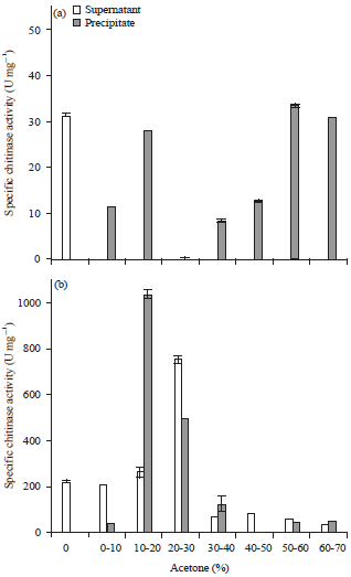 Image for - Potential of Chitinolytic Bacillus amyloliquefaciens SAHA 12.07 and Serratia marcescens KAHN 15.12 as Biocontrol Agents of Ganoderma boninense