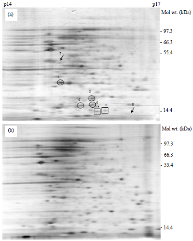 Image for - Inducible Acid Tolerance Response in Shigella sonnei and Shigella flexneri