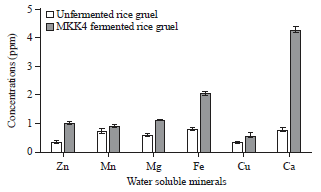 Image for - Fortification of Rice Gruel into Functional Beverage and Establishment as a Carrier of Newly Isolated Bifidobacterium sp. MKK4