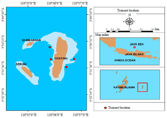 Image for - Antipathogenic Activity of Bacteria Associated with Acroporid Corals Against Black Band Disease of Karimunjawa, Indonesia