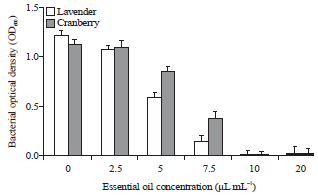 Image for - Antagonistic Impact of Lavender and Cranberry Essential Oils Against Xanthomonas campestris pv. vesicatoria