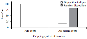 Image for - Cropping Practices and Fungal Contamination in Banana Plantations in Côte d’Ivoire