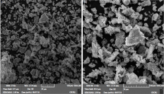 Image for - Microbial Synthesis and Characterization of Silver Nanoparticles by Lactococcus lactis TNM-B1 and its Antimicrobial Properties