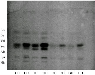 Image for - Thin Layer Chromatographic Analysis of Free Amino Acids in the Haemolymph and DGG of Indoplanorbis exustus (Mollusca: Gastropoda) Naturally Infected with Digenetic Trematodes