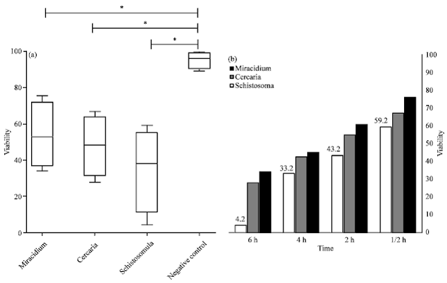 Image for - In vitro Anti-schistosomal Activity of "Plectranthus tenuiflorus" on Miracidium, Cercaria and Schistosomula Stages of Schistosoma mansoni