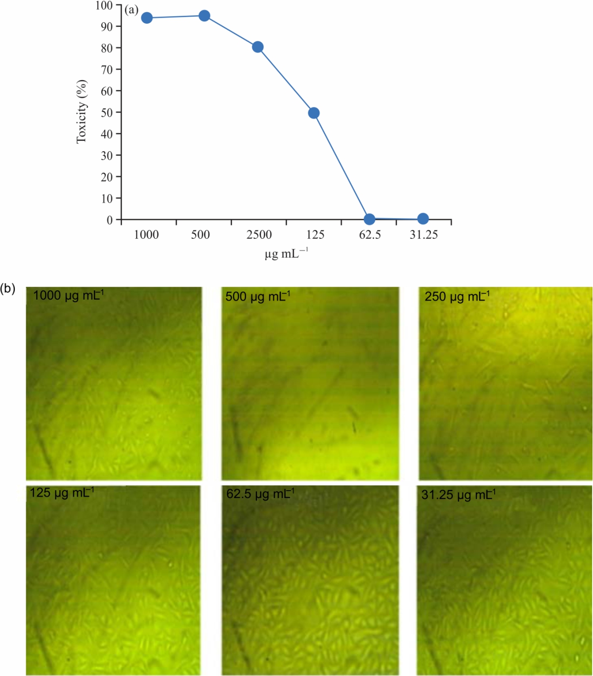 Image for - Protective Effect of SO-SeNPs against DOX-induced Liver Toxicity and its Mechanism in Rats