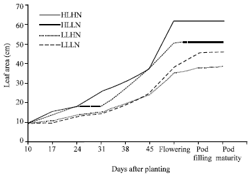 Image for - Effects of Light and Nutrient Stress on Some Growth Parameters of Cowpea (Vigna unguiculata (L.) Walp)