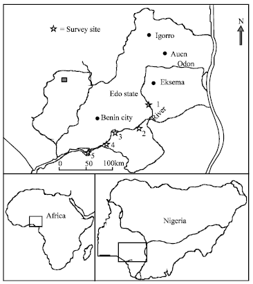 Image for - Ecological Studies of the Ossiomo River with Reference to the Macrophytic Vegetation