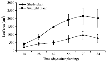 Image for - The Growth of Launaea taraxacifolia (Asteraceae) and its Response to Shading