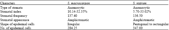 Image for - Comparative Leaf Epidermal Studies on Solanum macrocarpon and Solanum nigrum