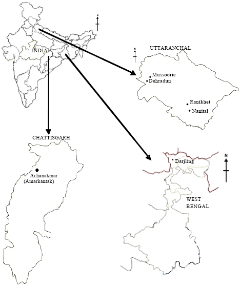 Image for - Genetic Diversity of Indian Liverwort Plagiochasma appendiculatum Revealed by RAPD Marker