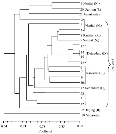 Image for - Genetic Diversity of Indian Liverwort Plagiochasma appendiculatum Revealed by RAPD Marker