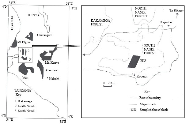 Image for - Composition and Succession of the Woody Flora of South Nandi Forest, Kenya