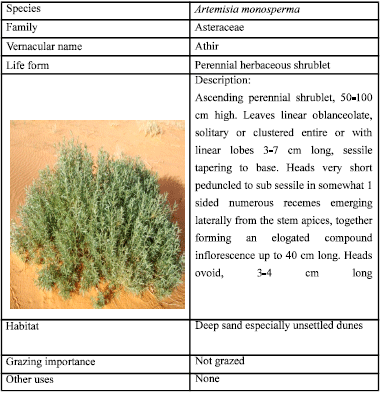 Image for - Antioxidant Activity and Biological Evaluation of Hot-water Extract of Artemisia monosperma and Capparis spinosa Against Lead Contamination