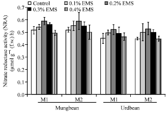 Image for - EMS Induced Mutational Variability in Vigna radiata and Vigna mungo