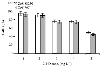 Image for - Standardizing Sterilization Protocol and Establishment of Callus Culture of Sugarcane for Enhanced Plant Regeneration in vitro