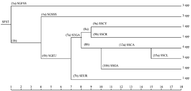 The Value of Leaf Epidermal Characters in Diagnosing Some Nigerian ...