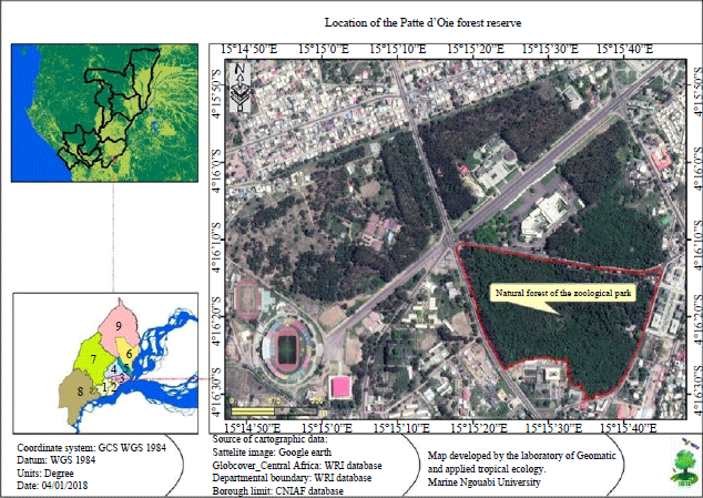 Image for - Litter Fall, Standing Litter and Leaves Decomposition Within Urban Tropical Forest of Zoological Park of Brazzaville, Republic of the Congo