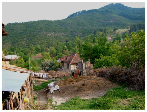 Image for - Usage of Trees and Forest Resources at Household Level: A Case Study of Asagi Yumrutas Village from the West Mediterranean Region of Turkey