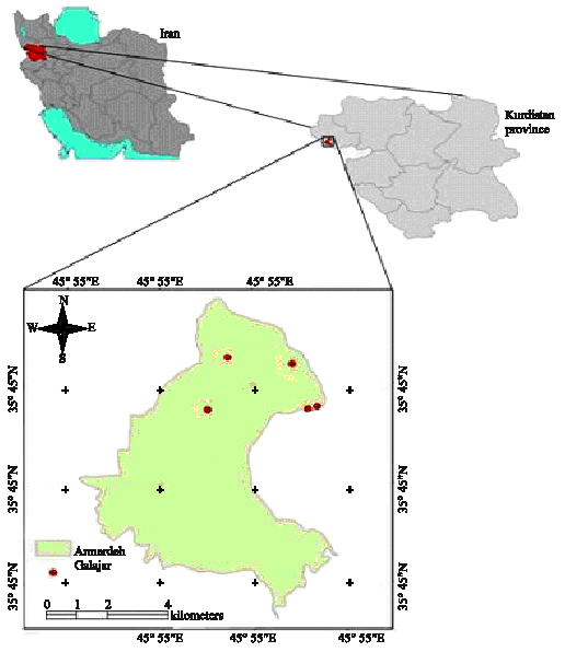 Image for - Relationships Between Diameter, Height and Geographical Aspects  with Bark Thickness of Lebanon Oak Tree (Quercus libani Oliv.)  in Armardeh, Baneh (Northern Zagros of Iran)