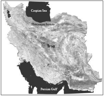 Image for - Comprehensive Productivity Models for Tracked and Wheeled Skidders in the Hyrcanian Forests of Iran