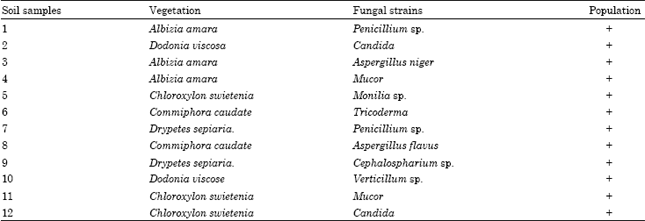 Image for - Biodiversity of Microorganisms Isolated from Rhizosphere Soils of Pachamalai Hills, Tamilnadu, India