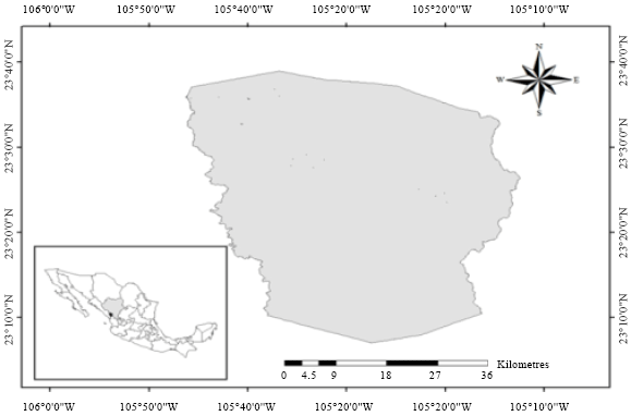 Image for - Modeling of Forests Fuels Load from Dasometric Attributes in Temperate Forests of Northern Mexico
