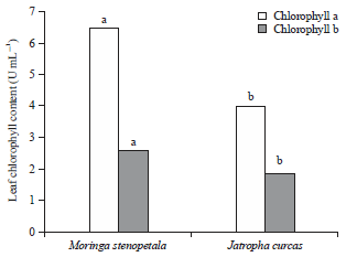 Image for - Foliar Spray with Coffee Husk Vermiwash Enhances Seedling Growth of Moringa stenopetala (Baker F.) and Jatropha curcas (L.)