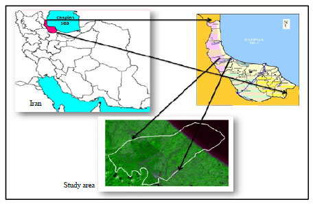 Image for - Use of Principal Component Analysis in Accuracy of Classification Maps (Case Study: North of Iran)