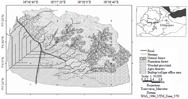 Image for - Diversity, Relative Abundance and Distribution of Avian Fauna in and Around Wondo Genet Forest, South-central Ethiopia