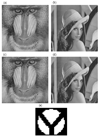 Image for - Quantization Based Robust Image Watermarking in DCT-SVD Domain