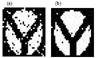 Image for - Quantization Based Robust Image Watermarking in DCT-SVD Domain