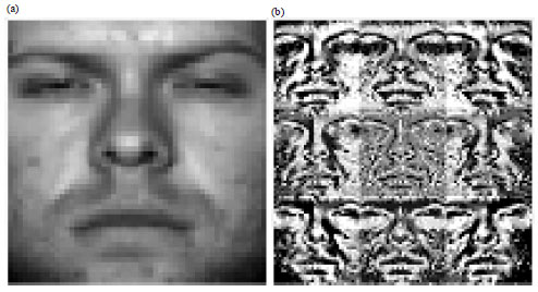 Image for - Comparative Analysis of Illumination Compensation Techniques in Face Recognition