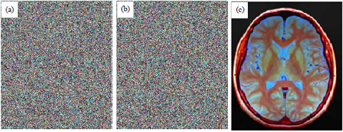 Image for - Horse DNA Runs on Image: A Novel Road to Image Encryption