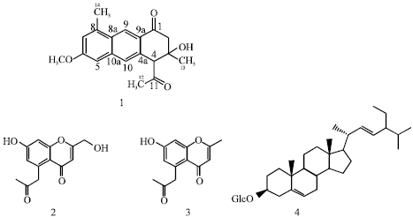 Image for - An Antisalmonellal Agent and a New Dihydroanthracenone from Cassia petersiana