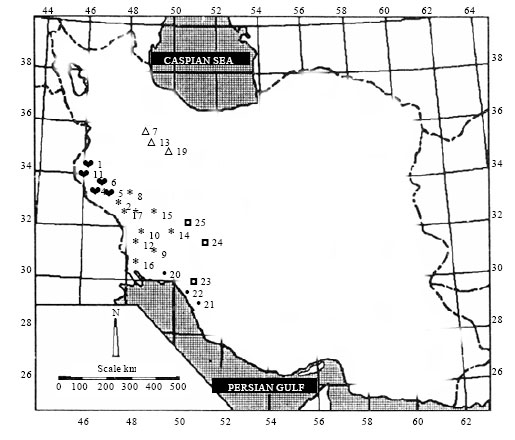 Image for - Genetic Diversity in Different Populations of Matricaria chamomilla L. Growing in Southwest of Iran, Based on Morphological and RAPD Markers