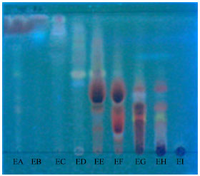 Image for - Antibacterial Agents of Terminalia muelleri Benth. Leaves