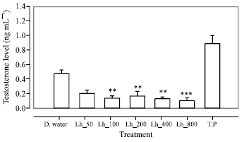 Image for - Effects of Aqueous Extracts of Leptadenia hastata (Pers.) Decne. (Asclepediaceae) on Male Reproductive Functions Using Castrated Immature Rats