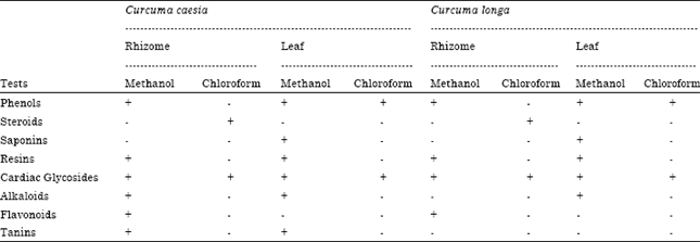 Image for - Comparative Phytochemical Screening of Bioactive Compounds in Curcuma  caesia Roxb. and Curcuma longa