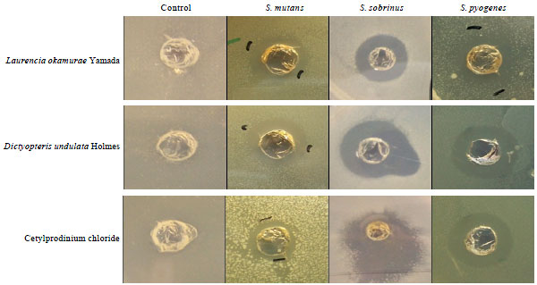 Image for - Anti-bacterial Effect of Marine Algae against Oral-borne Pathogens