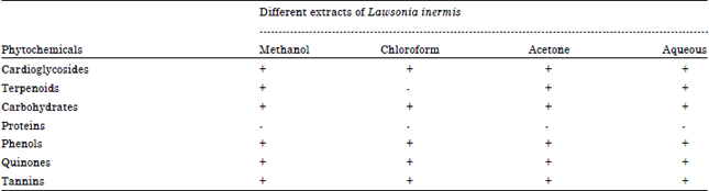 Image for - Antimicrobial, Phytochemical and Toxicological Evaluation of Lawsonia  inermis Extracts against Clinical Isolates of Pathogenic Bacteria