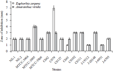 Image for - Anti-Vibrio and Antioxidant Properties of Two Weeds: Euphorbia serpens and Amaranthus viridis