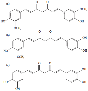 Image for - Analysis of Curcumin in Curcuma longa and Curcuma xanthorriza Using FTIR Spectroscopy and Chemometrics