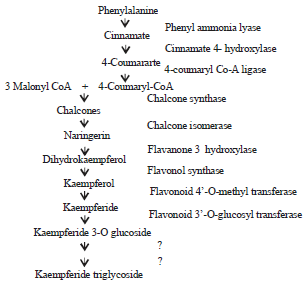 Image for - Nativity, Phytochemistry, Ethnobotany and Pharmacology of Dianthus caryophyllus