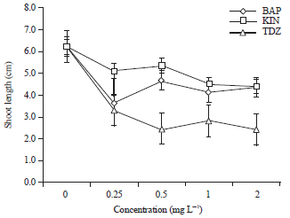 Image for - Influence of Different Cytokinins on the Growth, [6]-Gingerol Production and Antioxidant Activity of in vitro Multiple Shoot Culture of Ginger (Zingiber officinale Roscoe)