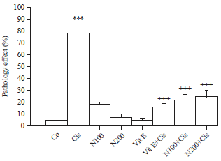 Image for - Effects of Aqueous-ethanolic Extract of Nigella sativa Seeds (Black Cumin) and Vitamin E on Cisplatin-induced Nephrotoxicity in Rat