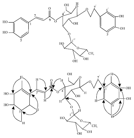 Image for - Bioactive Chemical Constituents of Stereospermum kunthianum (Bignoniaceae)